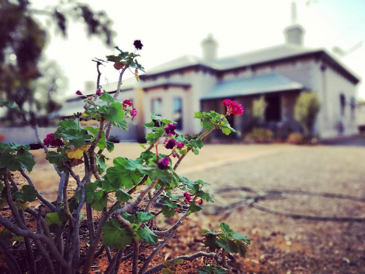 Vagabond Historic Bed & Breakfast Port Germein Exterior photo